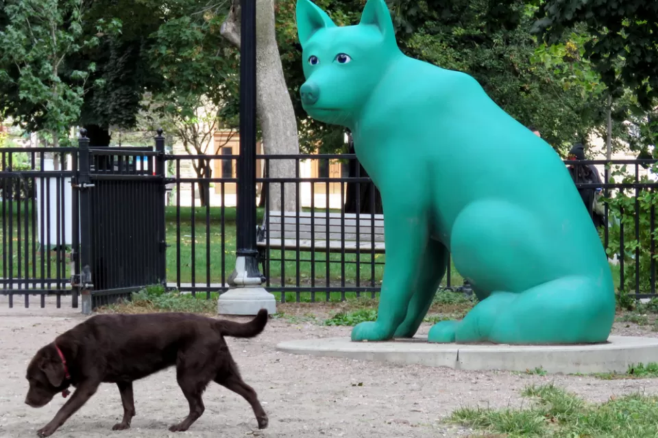 City Dogs